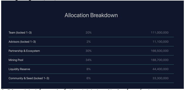 RAY token allocation