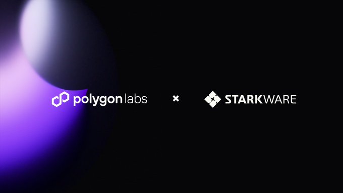 polygon labs