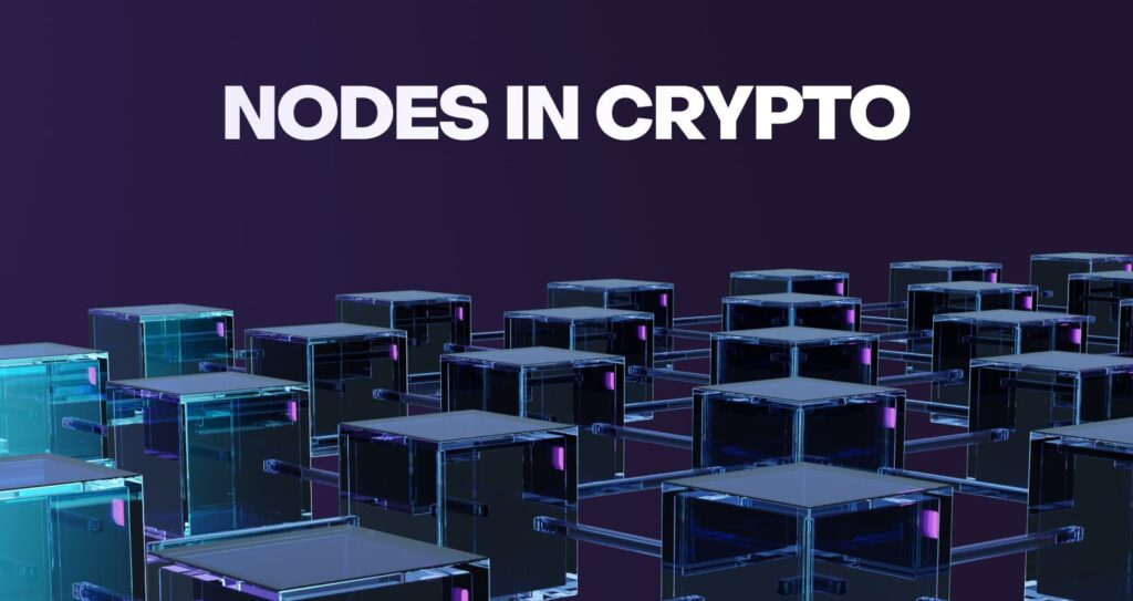 Node là gì? Toàn tập về node trong blockchain 6 Nodes in Crypto blockchain